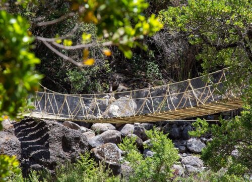 Parque Natural Tricahue​