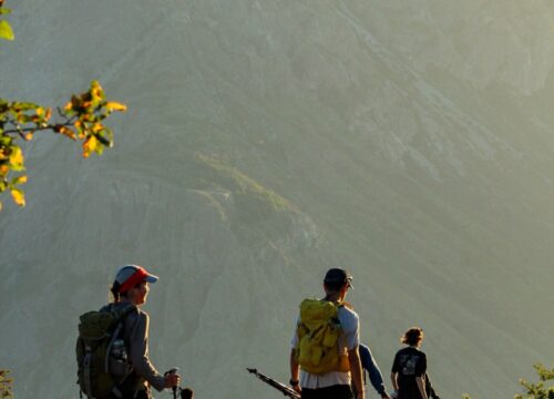 Parque Natural Tricahue​