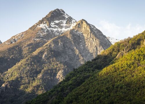 Parque Natural Tricahue​