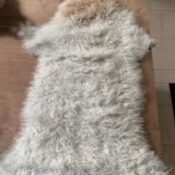 Imagen de WhatsApp 2025-08-10 a las 21.44.44_eb37e0bb