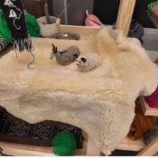 Imagen de WhatsApp 2025-08-10 a las 21.44.51_5dd3d16b