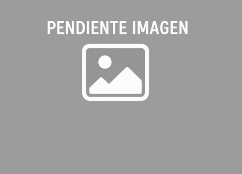 Supermercado Pehuenche